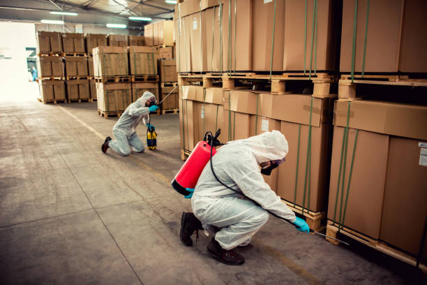 Best Bed Bug Extermination  in Glen Ellyn, IL