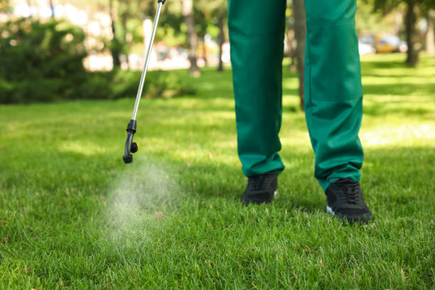 Best Mosquito Control Services  in Glen Ellyn, IL