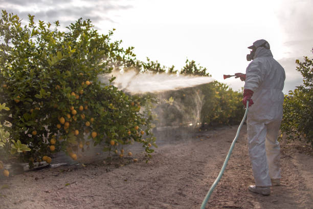 Best Best Pest Control Companies  in Glen Ellyn, IL