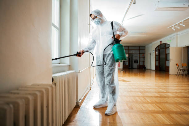 Best Affordable Pest Control Services  in Glen Ellyn, IL