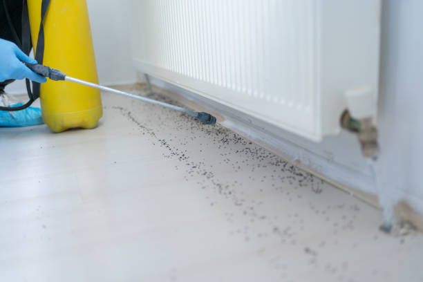 Pest Control for Restaurants in Glen Ellyn, IL